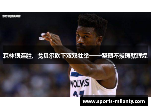 森林狼连胜，戈贝尔砍下双双壮举——坚韧不拔铸就辉煌